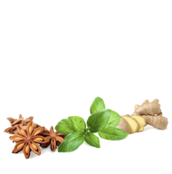 https://getvitalhealth.com/wp-content/uploads/2020/05/herb-bottom-1-a.png