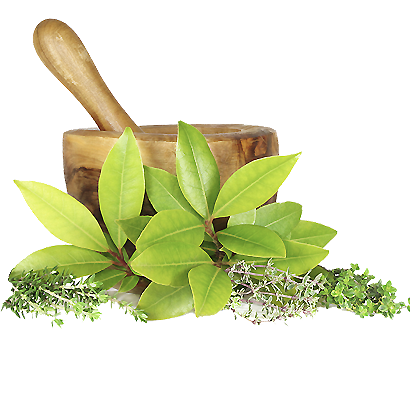 https://getvitalhealth.com/wp-content/uploads/2020/05/herbs.png